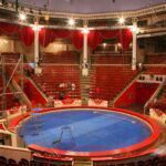 A magia do circo: fortalecendo a arte e a cultura no Brasil AdobeStock_2955524 (1)